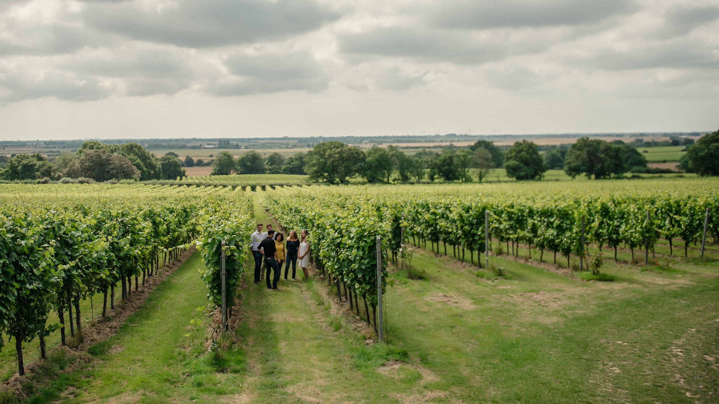 A tour at Gusbourne Vineyards